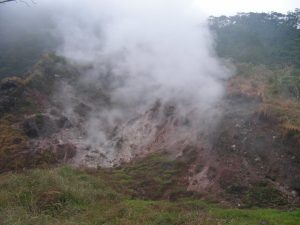 青ヶ島のひんぎゃ